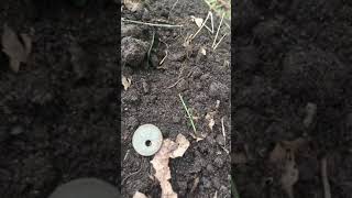 Metal detecting