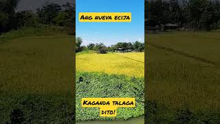 Kay Ganda ng Nueva Ecija #theguiaofamily #familyvlog