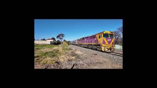 Vline N class Around North Bendigo Victoria #shorts #australiantrains #railfan #vline #dieseltrains