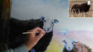 Herdwick sheep painting - part 6