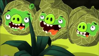 Angry Birds Toons episode 27 sneak peek  Green Pig Soup