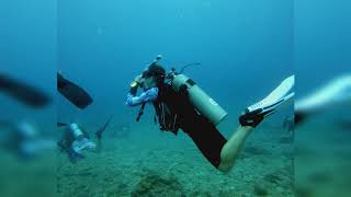 Open Water Dive Course