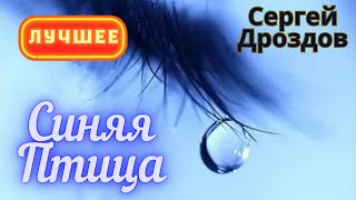 Синяя Птица - Сергей Дроздов. Лучшее.