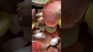 Amazing health benefits of mushrooms! See description.