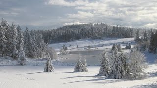 Февраль. Детям про второй месяц.