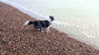 Blue at the beach