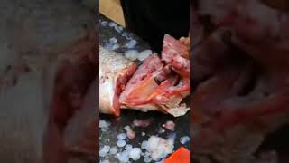 fish cutting  #fishcutting