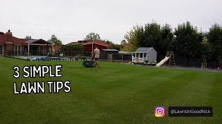 3 simple lawn tips