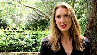 #UrbanThinkers Voices Part II | Ludivine Cornille | Consortium for Sustainable Urbanization