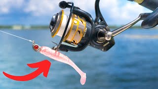 Do Fish Like PINK? Putting The F.R.E.D. Lure To The Test