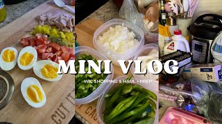 MINI VLOG : WIC SHOPPING & HAUL + PREP