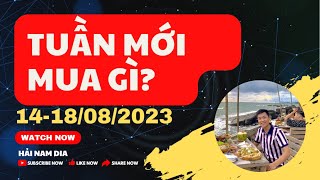 TUẦN MỚI MUA GÌ? CẬP NHẬT SỐ LIỆU CHUẨN BỊ TUẦN MỚI 14-18/08/23