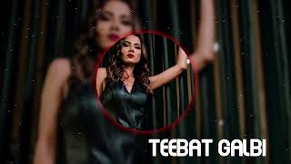 Teebat Galbi Remix 2024 | Heart's Whispers by Malik Jamil | Original Track by Layla Sayeed