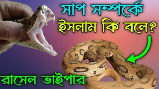 রাসেল ভাইপার সাপ সম্পর্কে ইসলাম কি বলে। The Most Dangerous Snake Rasel viper  2024