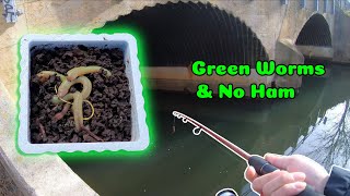 Winter Creek Fishing (New Worms, New Spot, and Meeting New People)