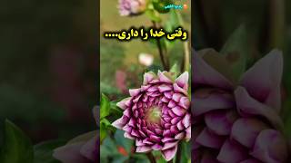 توکل یعنی/توکل یعنی وقتی خدا را داری از هیچ کس نترس/رادیو آگاهی #shorts