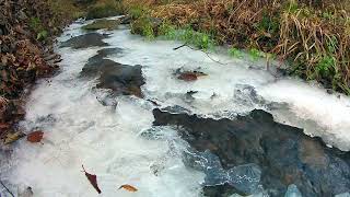 Close Up View of Flowing Water in a Frozen River | True Nature |