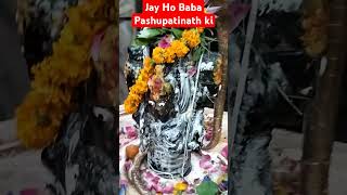 Jay ho Baba Pashupatinath ki shorts #viral# video