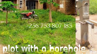 100 by 50 titled plot for sale with 3 unfinished rental units in busiika town Uganda