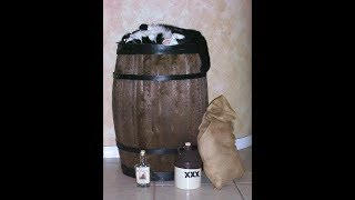 Whiskey Barrel Cat Bed