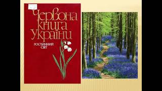 Різнобарвний світ рослин. Первоцвіти + інструкція до аплікації з долоньок.