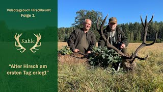 Alter Hirsch am ersten Tag erlegt