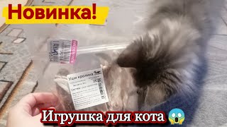 НОВИНКА!!! 😱😱😱 Игрушка для кота. #кот #кошка #животные #игрушка