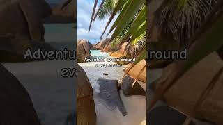 #travel #youtubeshorts #vacation #shorts #shortvideo #memories #makememories #explore #ocean #sea