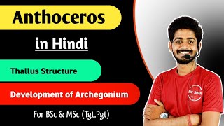 Anthoceros thallus Structure - Development of Archegonium in Anthoceros in Hindi | By Bioaman 04