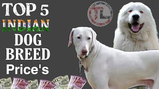 TOP 5 INDIAN DOG BREEDS PRICES IN 2022 | Telugu | Taju Logics