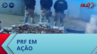 Durante abordagem a PRF realizou a apreensão de 100 kg de maconha- Alô 190