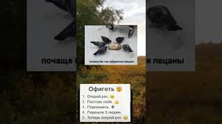 Подпишись! #tiktok #юмор #топ #мем #ответ #duet #подпишись #прикол #роблокс #shorts