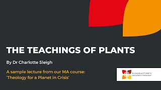 The teachings of plants | Sample theology lecture | Presented by St Augustine's College of Theology