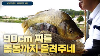 강풍 속 90cm 찌를 몸통까지 올려주는 붕어!!