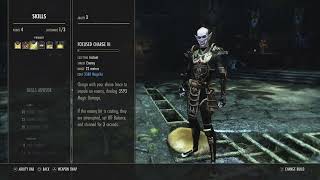 ESO - Magplar DoT Build