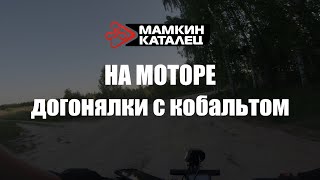 ЭЛЕКТРОВЕЛОСИПЕД ГОНИТСЯ ЗА КОБАЛЬТОМ