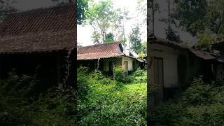 Menemukan Rumah Kuno Angker Terbengkalai #viral #shorts #rumahkuno #angker