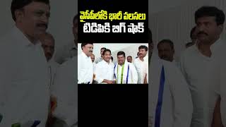 TDP Joining Visuals YSRCP Meets CM YS Jagan |  #jaganagain #ysjagan #ysrcp #shorts #ytshorts