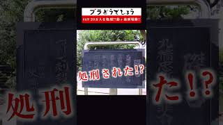 【驚愕】20万人を処刑!?鈴ヶ森刑場跡!! #69 予告 #Shorts