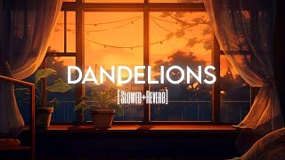 Dandelions [Slowed+Reverb] @RuthB #lofi #dandelions