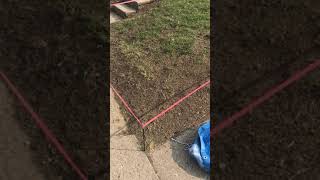 How to keep your new GRASS SEED moist and use less water, faster germination Part 1