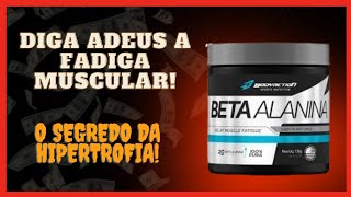 O MELHOR SUPLEMENTO PARA ELEVAR A SUA PERFORMANCE DURANTE O TREINO! #betaalanina #suplementos #gym