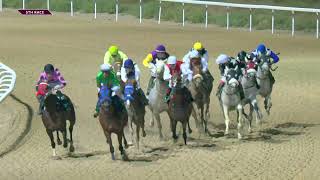 Al Ain 141124 Race 5