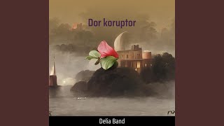 Dor koruptor