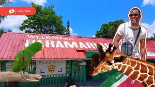 MY FIRST TIME GOING TO A ZOO || PARAMARIBO ZOO SURINAME 🇸🇷 #vlog #suriname #zoo