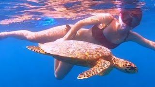 First Guest at Lily Beach Resort Post Lockdown - The smile on their face says it all!