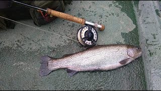 Trout 'N' About: Frandy Trout Fishery, Perthshire.