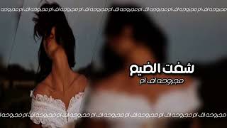 ارشيف عراقي حزين - شفت الضيم من حبك |