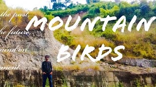 Mountain Bird || Full vlog || Vlog 6 || Arunachal diary || The land of Mountains