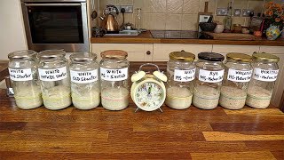 Mastering Sourdough Starters and Leavens - master course on Udemy!